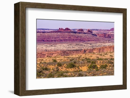 Yellow Grass Lands Moab Fault Arches National Park Moab Utah-BILLPERRY-Framed Photographic Print