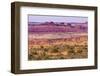 Yellow Grass Lands Moab Fault Arches National Park Moab Utah-BILLPERRY-Framed Photographic Print