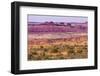 Yellow Grass Lands Moab Fault Arches National Park Moab Utah-BILLPERRY-Framed Photographic Print