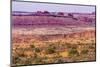 Yellow Grass Lands Moab Fault Arches National Park Moab Utah-BILLPERRY-Mounted Photographic Print