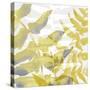 Yellow-Gray Leaves 1-Stellar Design Studio-Stretched Canvas