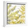 Yellow-Gray Leaves 1-Stellar Design Studio-Framed Art Print