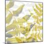 Yellow-Gray Leaves 1-Stellar Design Studio-Mounted Art Print