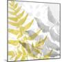 Yellow-Gray Leaves 2-Stellar Design Studio-Mounted Art Print