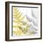 Yellow-Gray Leaves 2-Stellar Design Studio-Framed Art Print