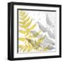 Yellow-Gray Leaves 2-Stellar Design Studio-Framed Art Print