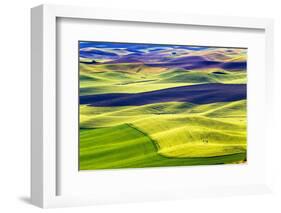 Yellow Green Wheat Fields Black Dirt Fallow Land from Steptoe Butte at Palouse, Washington State-William Perry-Framed Photographic Print
