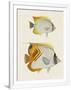 Gramercy White