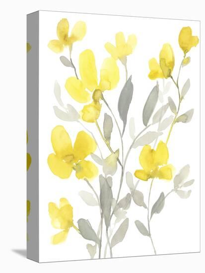 Yellow & Grey Garden I-Jennifer Goldberger-Stretched Canvas