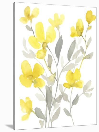 Yellow & Grey Garden I-Jennifer Goldberger-Stretched Canvas