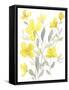 Yellow & Grey Garden I-Jennifer Goldberger-Framed Stretched Canvas