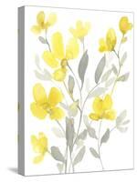 Yellow & Grey Garden I-Jennifer Goldberger-Stretched Canvas