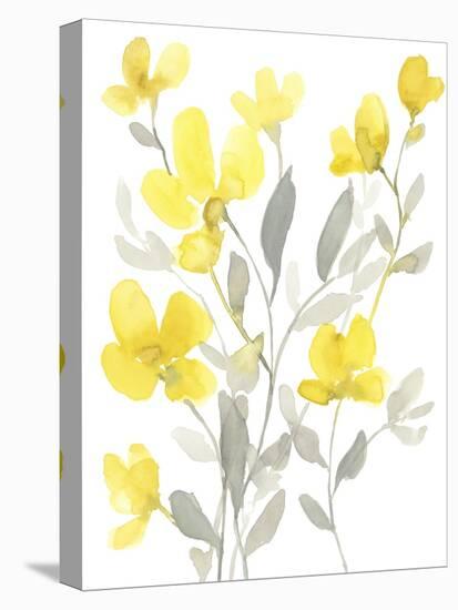 Yellow & Grey Garden I-Jennifer Goldberger-Stretched Canvas