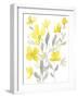 Yellow & Grey Garden I-Jennifer Goldberger-Framed Art Print