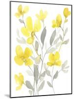 Yellow & Grey Garden I-Jennifer Goldberger-Mounted Art Print