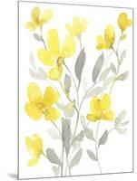 Yellow & Grey Garden I-Jennifer Goldberger-Mounted Art Print