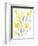 Yellow & Grey Garden I-Jennifer Goldberger-Framed Art Print