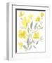 Yellow & Grey Garden I-Jennifer Goldberger-Framed Art Print