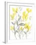 Yellow & Grey Garden II-Jennifer Goldberger-Framed Art Print