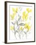 Yellow & Grey Garden II-Jennifer Goldberger-Framed Art Print