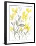 Yellow & Grey Garden II-Jennifer Goldberger-Framed Art Print