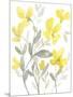 Yellow & Grey Garden II-Jennifer Goldberger-Mounted Art Print