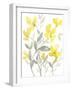 Yellow & Grey Garden II-Jennifer Goldberger-Framed Art Print