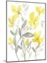 Yellow & Grey Garden II-Jennifer Goldberger-Mounted Art Print