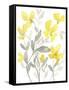 Yellow & Grey Garden II-Jennifer Goldberger-Framed Stretched Canvas