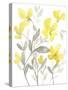 Yellow & Grey Garden II-Jennifer Goldberger-Stretched Canvas