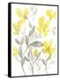 Yellow & Grey Garden II-Jennifer Goldberger-Framed Stretched Canvas