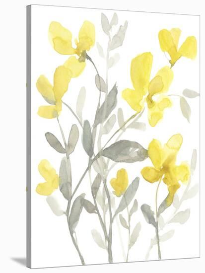 Yellow & Grey Garden II-Jennifer Goldberger-Stretched Canvas