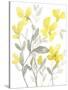 Yellow & Grey Garden II-Jennifer Goldberger-Stretched Canvas