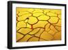 Yellow Ground, Red Heart-E^ De Juan-Framed Giclee Print