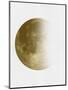 Yellow Half Moon II-Eline Isaksen-Mounted Art Print