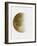 Yellow Half Moon II-Eline Isaksen-Framed Art Print