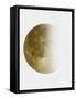 Yellow Half Moon II-Eline Isaksen-Framed Stretched Canvas
