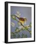 Yellow Hammer, 2016-Pat Scott-Framed Giclee Print