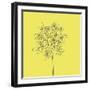 Yellow Happy Flower-Jan Weiss-Framed Art Print