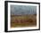 Yellow-Headed and Red-Winged Blackbirds in Refuge, Bosque Del Apache, New Mexico, USA-Diane Johnson-Framed Photographic Print