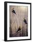 Yellow Headed B Birds-Jeff Tift-Framed Giclee Print