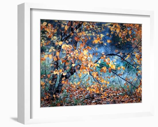 Yellow Heart-Ursula Abresch-Framed Premium Photographic Print