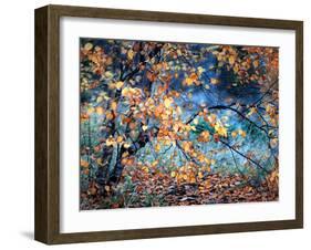 Yellow Heart-Ursula Abresch-Framed Photographic Print