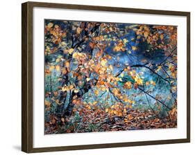 Yellow Heart-Ursula Abresch-Framed Photographic Print