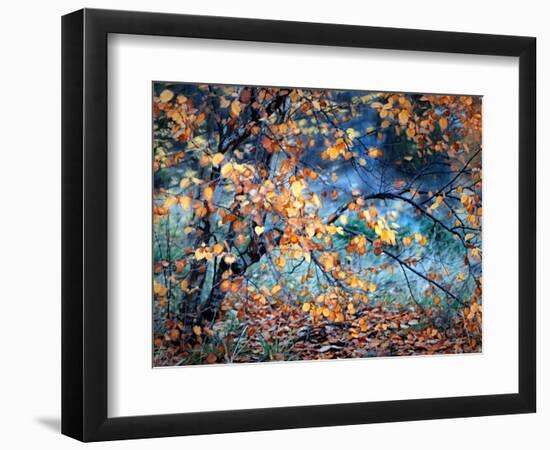 Yellow Heart-Ursula Abresch-Framed Photographic Print