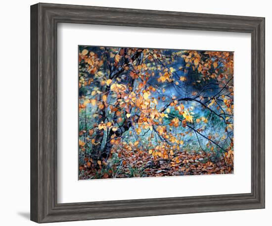 Yellow Heart-Ursula Abresch-Framed Photographic Print