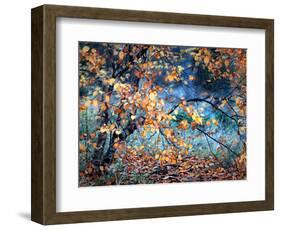 Yellow Heart-Ursula Abresch-Framed Photographic Print