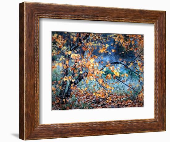 Yellow Heart-Ursula Abresch-Framed Photographic Print