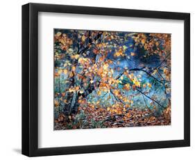 Yellow Heart-Ursula Abresch-Framed Photographic Print