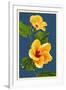 Yellow Hibiscus-Lantern Press-Framed Art Print